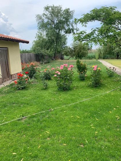 Casă cu Teren 2360 Mp în Central