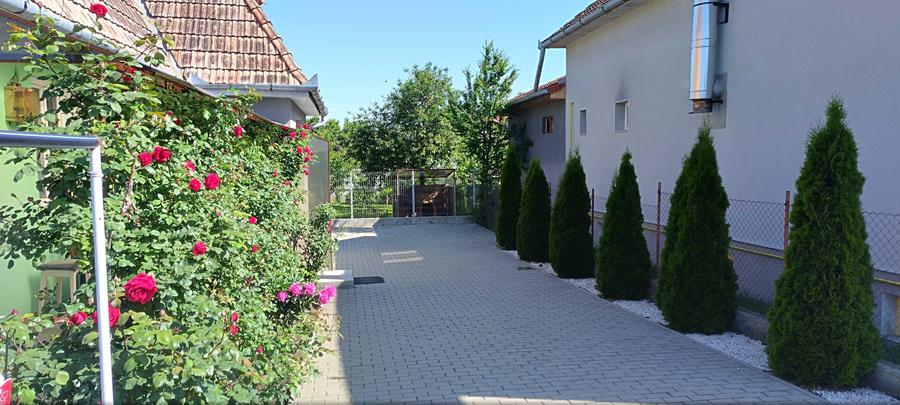 Casa de vanzare in Ludus - 1