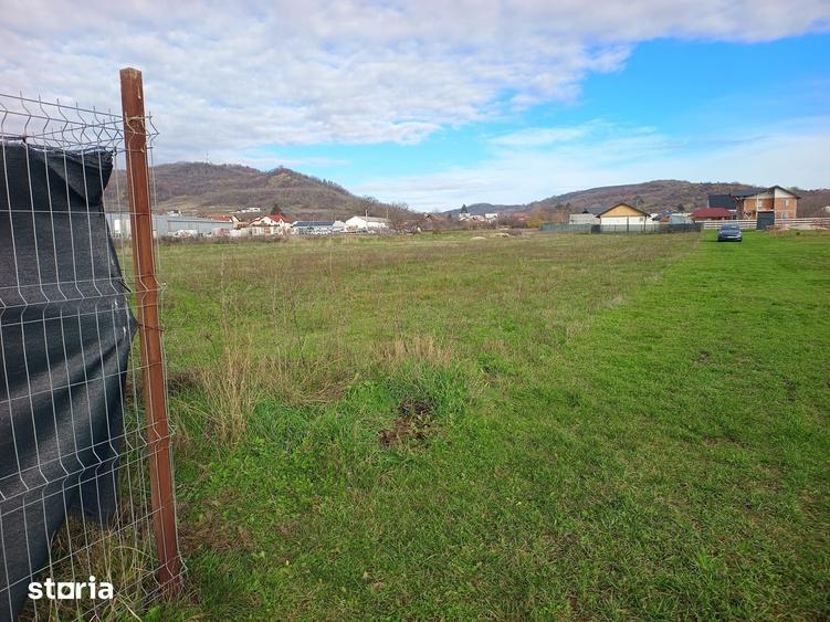 Teren de vanzare Stefanestii Noi Intravilan 1200mp sau 2x600mp + drum - 4