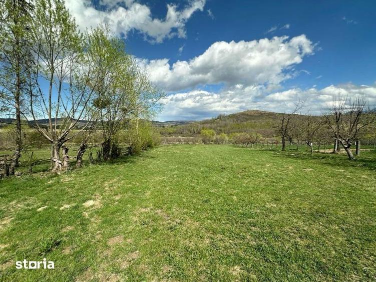 Teren de 4000 mp, în Central