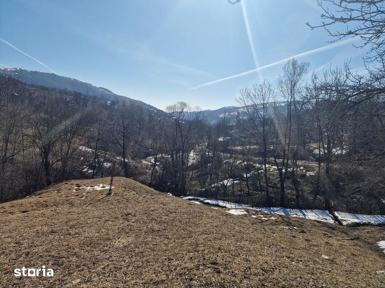 Teren de 4100 mp, în Secăria