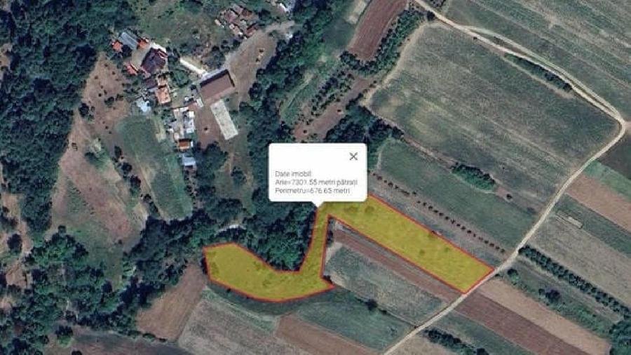 Teren extravilan de 7299 mp, în Tigveni