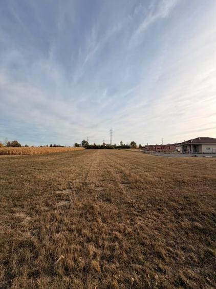 Teren Construcții extravilan de 3600 mp, în Vasile Alecsandri