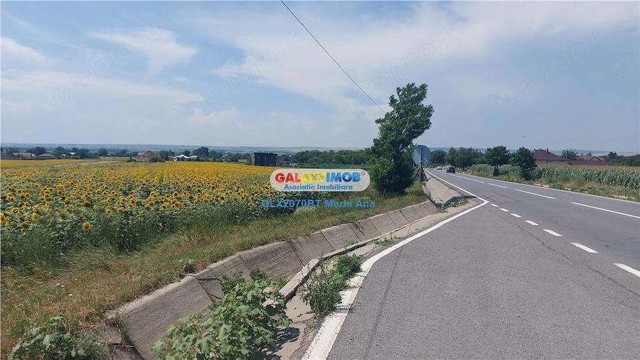 Casă cu Teren 10000 Mp în Central