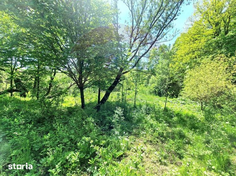 Teren de 8300 mp, în Mărgineni