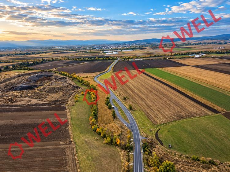 Teren extravilan de 11300 mp, în Bodoc