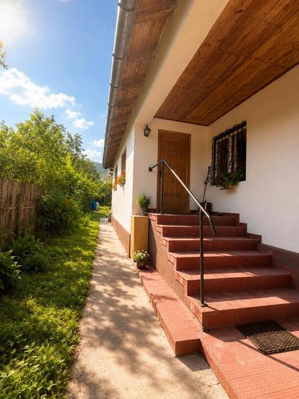 Casă individuală cu 4 camere cu Teren 6642 Mp în Pianu de Sus