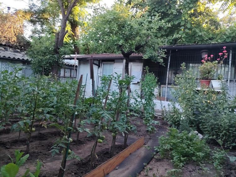 Casă cu 4 camere în Central