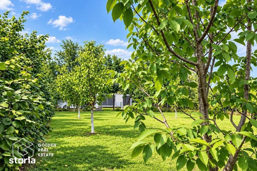 Teren de 2880 mp, în Sintea Mare