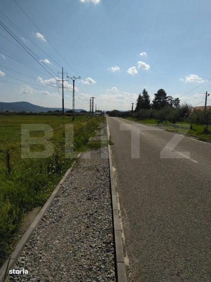 Teren extravilan, Livezile, 1.83 hectare - 2