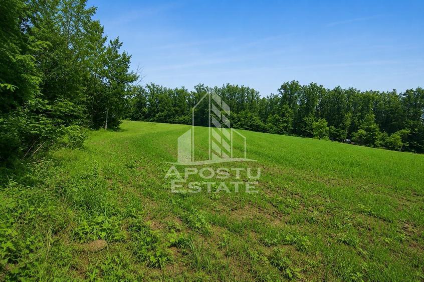 Teren agricol extravilan de 8600 mp, în Cuied
