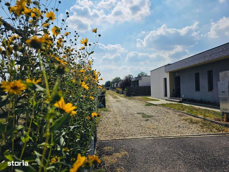 Casă cu 3 camere în Berceni