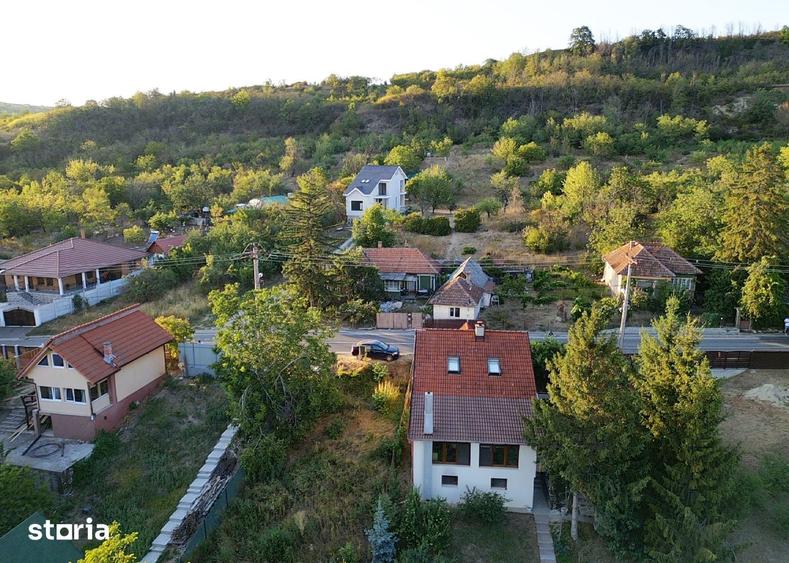 Teren de 4000 mp, în Podgoria
