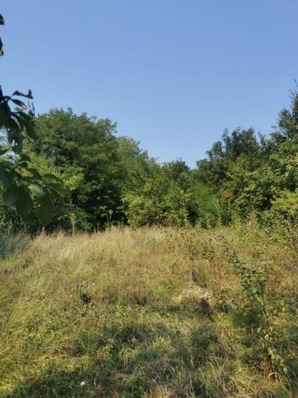 Teren intravilan de 1475 mp, în Central