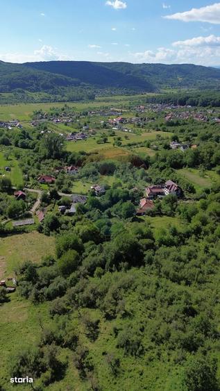 Casa de vanzare in natura la tara - Mihaesti - 12