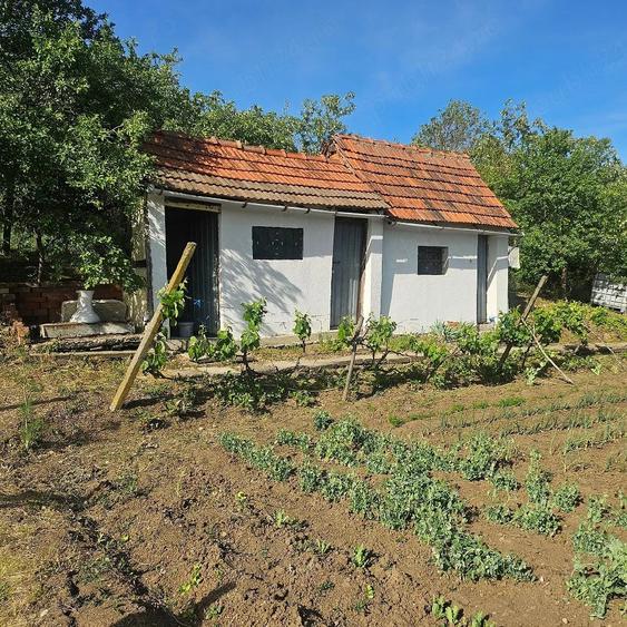 Casă cu 2 camere cu Teren 2283 Mp în Silagiu