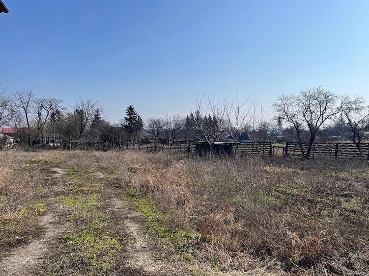Casă cu Teren 7800 Mp în Ibănești