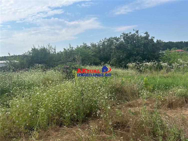 Teren Construcții intravilan de 650 mp, în Mihai Bravu