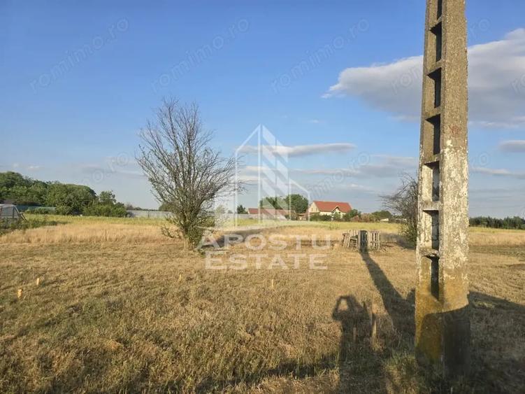 Teren de 800 mp, în Curtici