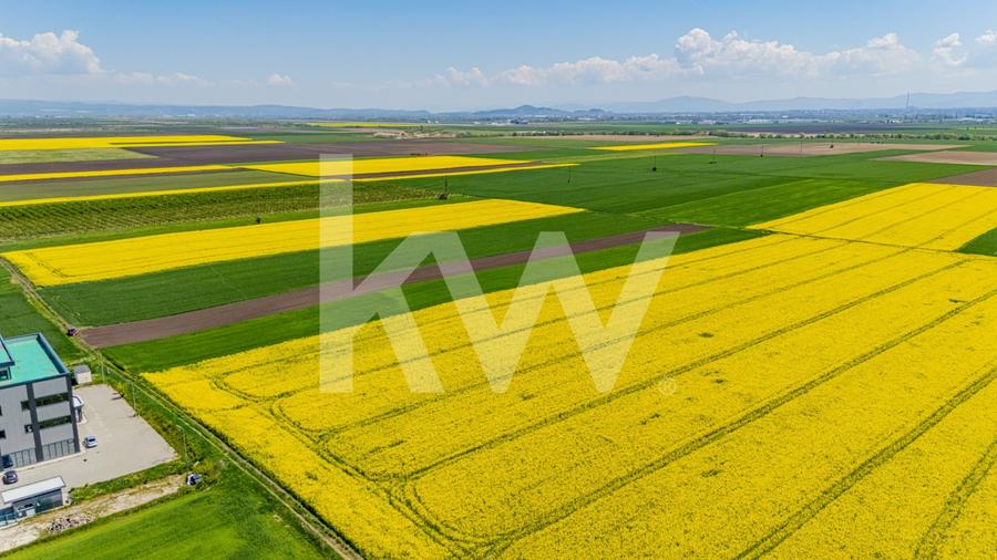Teren agricol extravilan de 10600 mp, în Codlea