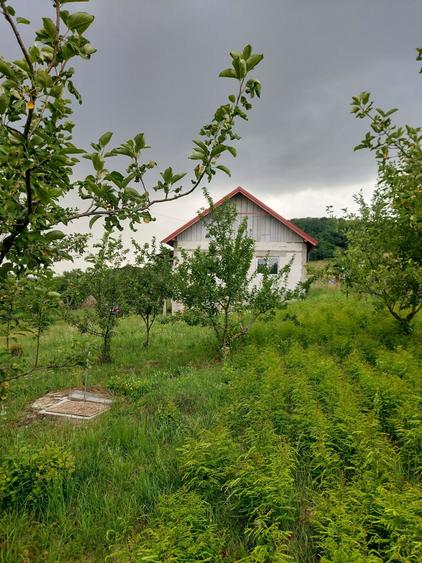 Casă cu 4 camere în Aghireșu