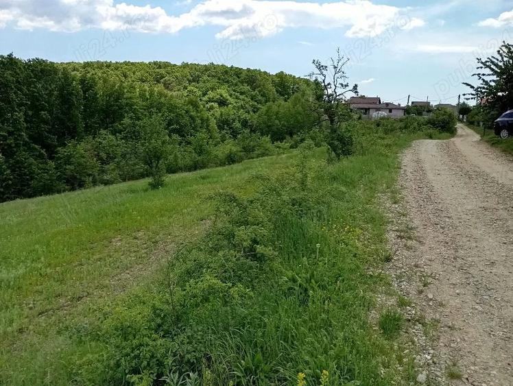 Teren de 1370 mp, în Băbana