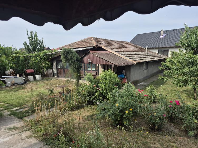 Casă individuală cu 7 camere cu Canalizare în Becicherecu Mic