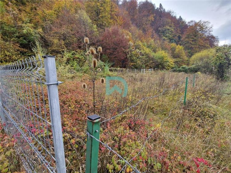 Teren intravilan de 500 mp, în Baciu