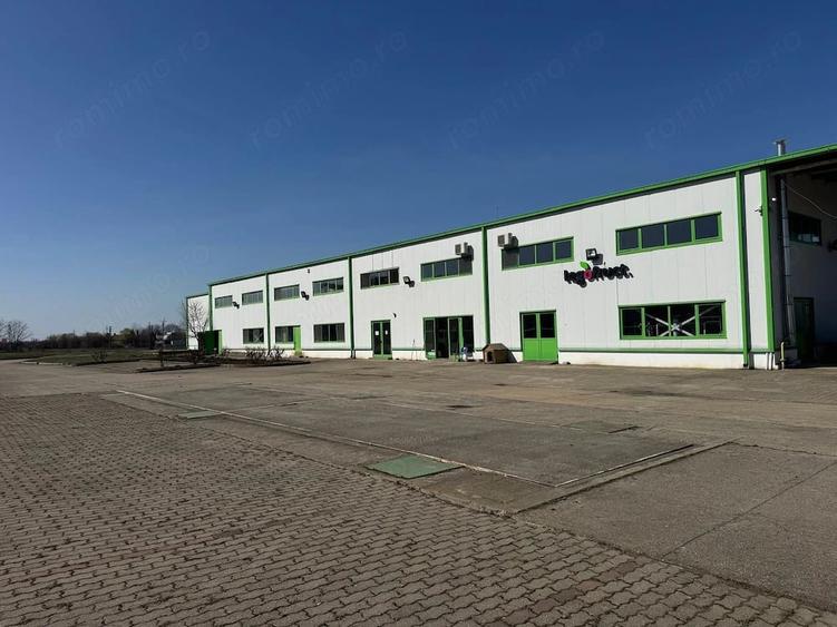 Spațiu comercial, de 3,650 mp, în Dumbrăvița