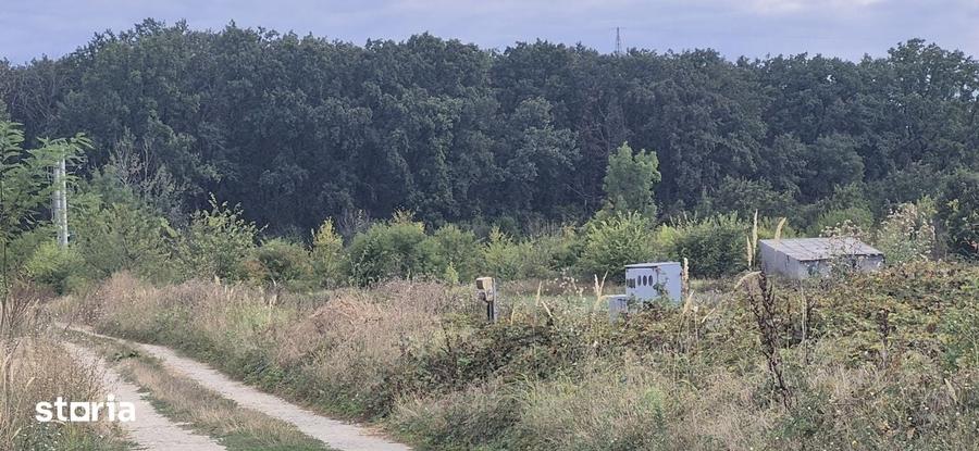 Teren de 720 mp, în Balotești