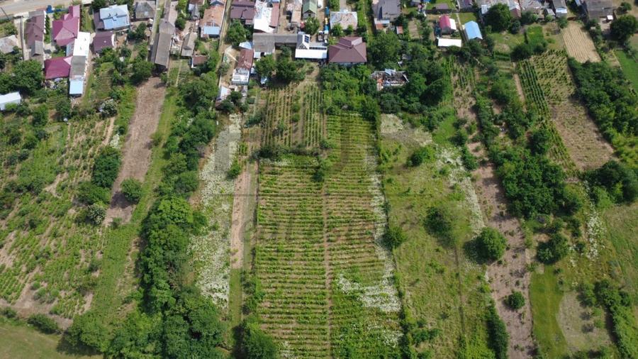 Casă individuală cu 6 camere cu Canalizare în Sascut
