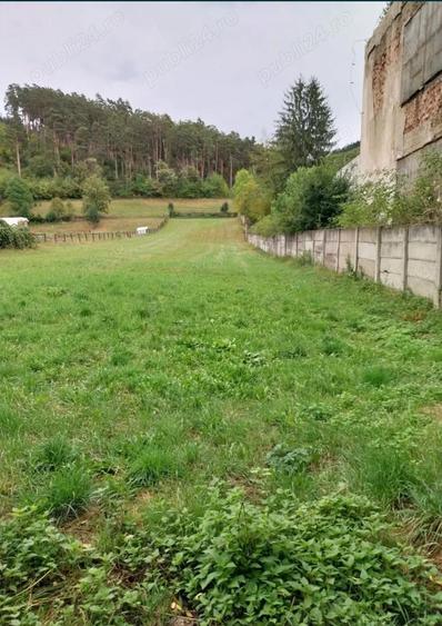 Casă cu 6 camere în Central