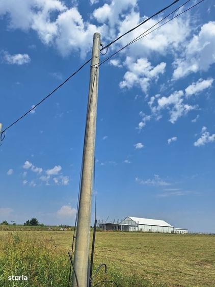 Teren de vanzare 23.298 mp | Ciorogarla, Ilfov |Acces rapid A1 si A0 - 8