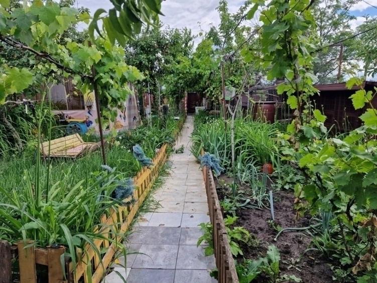 Casă individuală cu 3 camere în Central