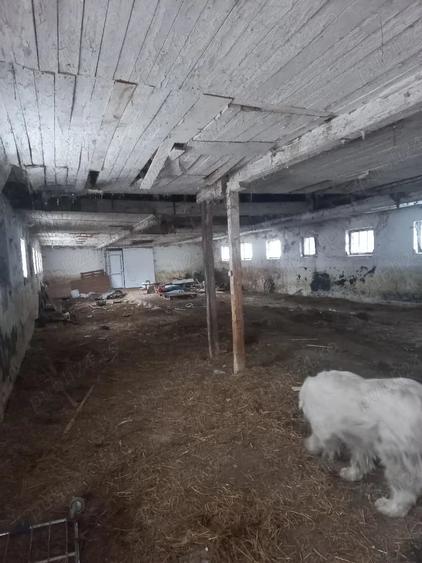 Spațiu comercial, de 700 mp, în Cheia