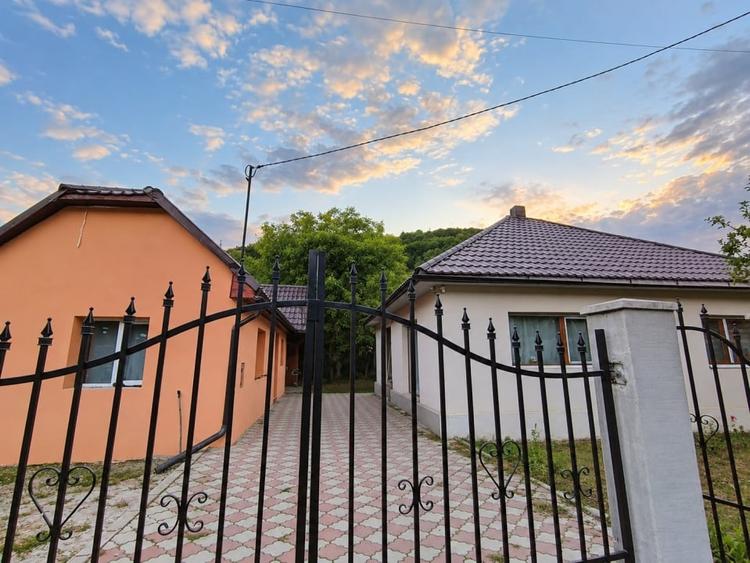 Casă individuală cu 2 camere cu Canalizare în Ferneziu