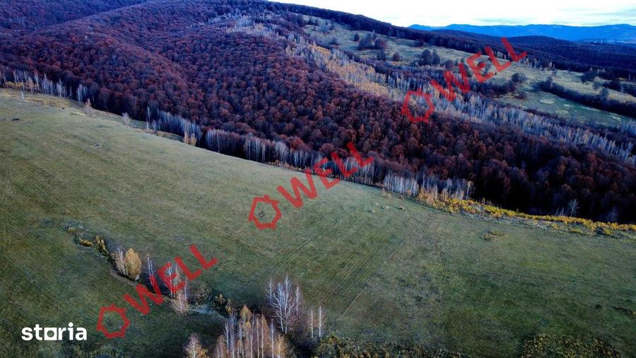Teren de 126700 mp, în Bățani