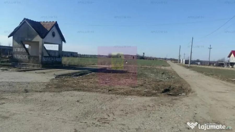 Teren Balotesti- Saftica- ideal pentru constructie locuinte. - 2