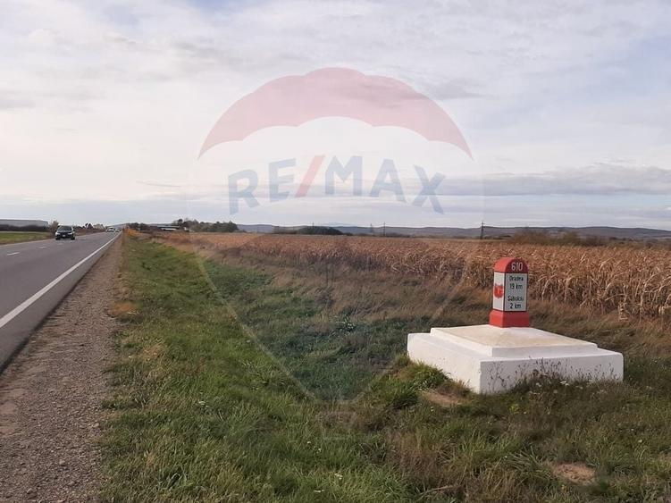 Teren Construcții intravilan de 21145 mp, în Săbolciu
