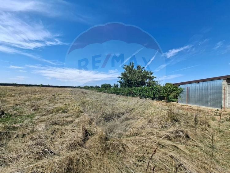 Teren agricol extravilan de 5316 mp, în Aradul Nou