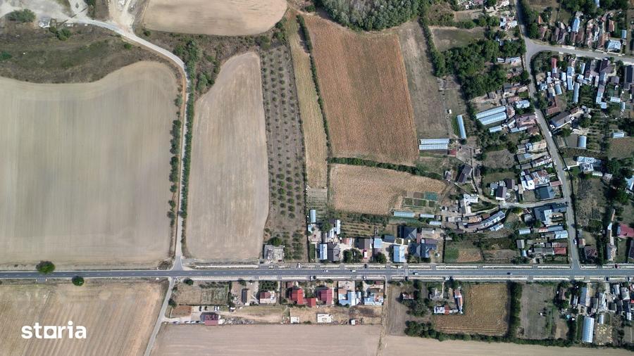 Teren de 9654 mp, în Dobra