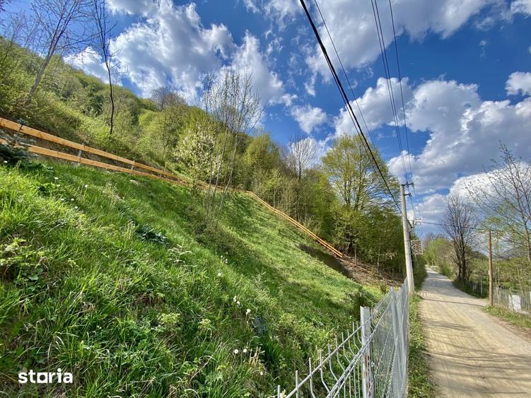 Teren de 4360 mp, în Valea Doftanei