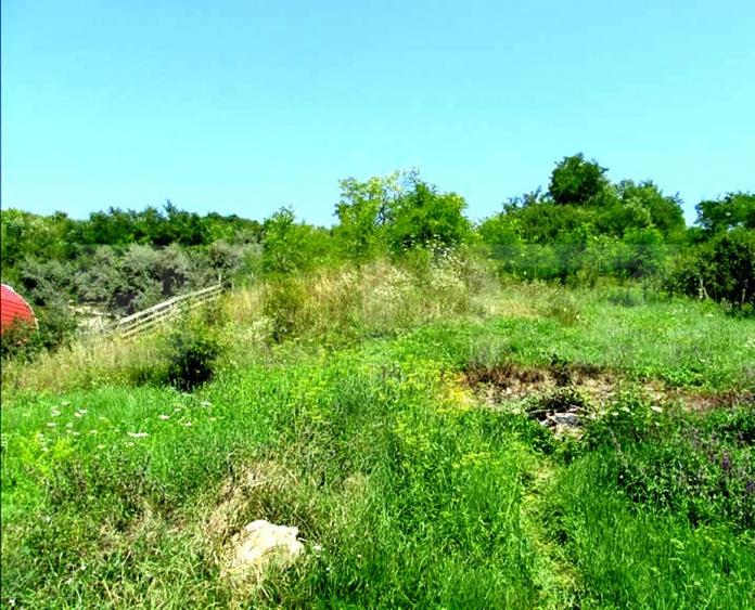 Investitie !Teren extravilan,15554 mp, zona in plina dezvolt - 2