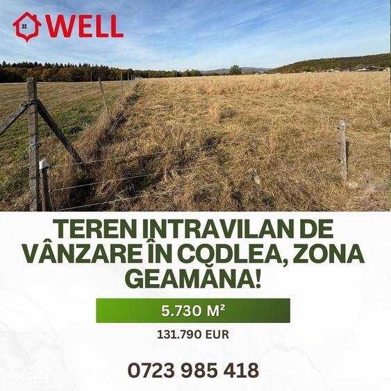 Spațiu comercial, în Central