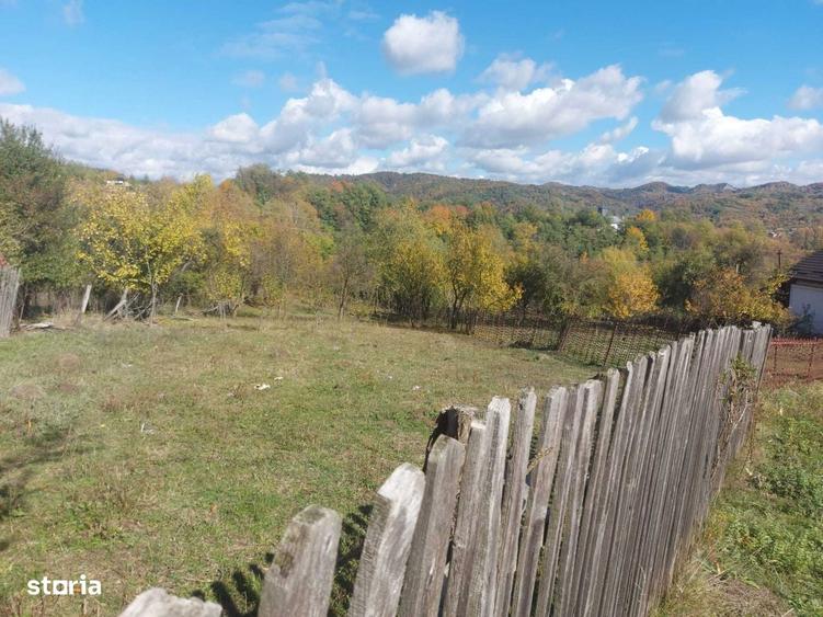 Teren de 3500 mp, în Berevoești