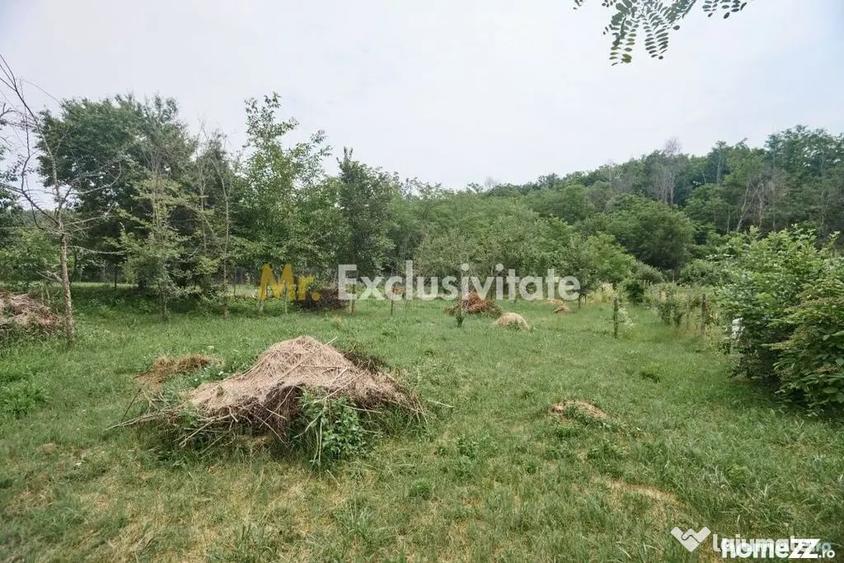 Teren în Moșoaia