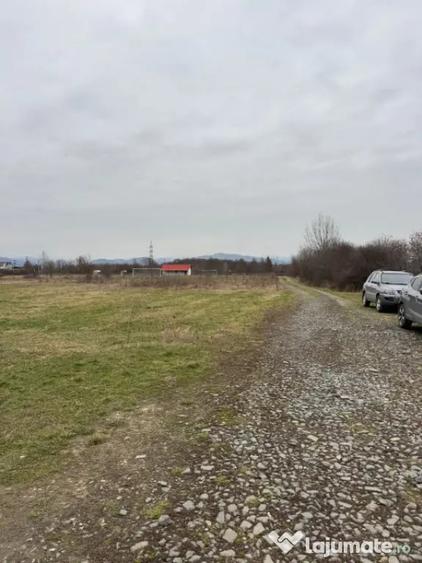 Teren în Lăpuș