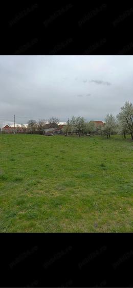 Teren de 4138 mp, în Babșa