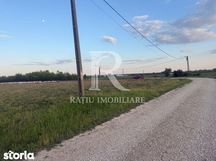 Teren de 2000 mp, în Tămășeu