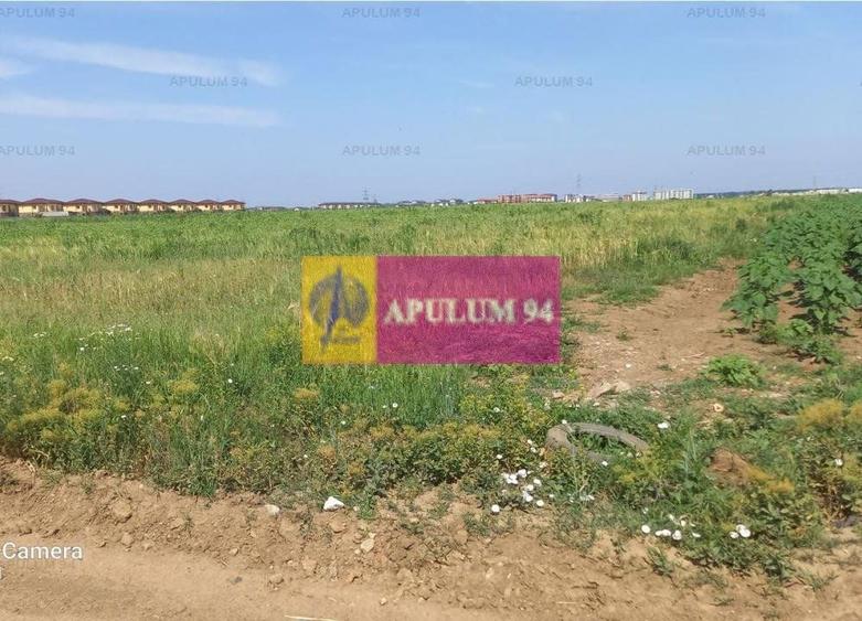 Teren Construcții intravilan de 9000 mp, în Dobroești